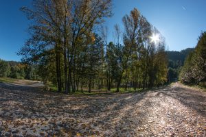 Louredo Natura Parque
