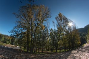 Louredo Natura Parque