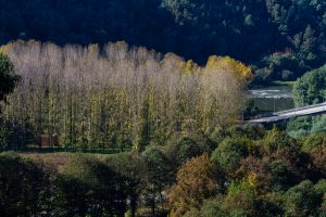 Louredo Natura Parque