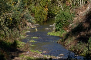 Ribeira de Poiares