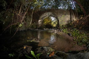 Ribeira de Poiares