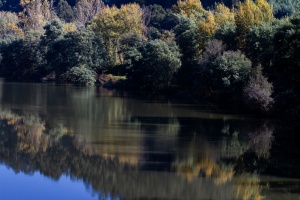 Rio Mondego