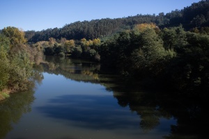 Rio Mondego